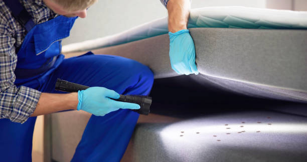 Flea Control Services in East Atlantic Beach, NY