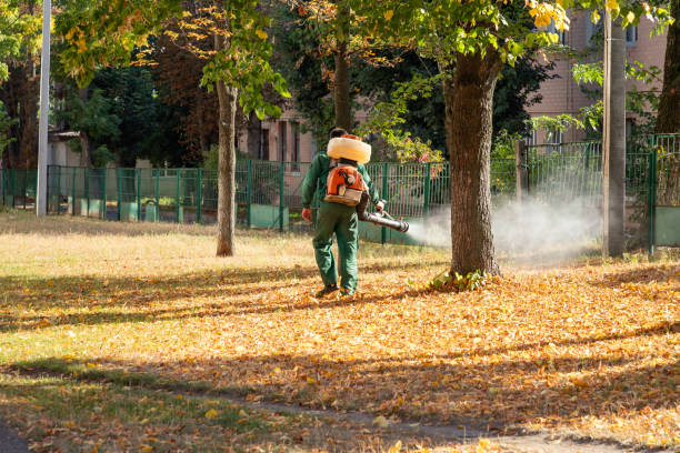 Best Pest Prevention Services  in East Atlantic Beach, NY