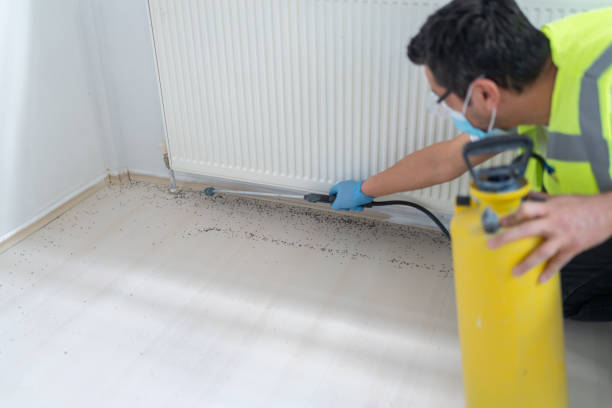 Best Affordable Pest Control Services  in East Atlantic Beach, NY