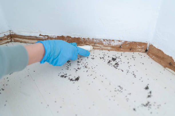 Pest Control Cost in East Atlantic Beach, NY